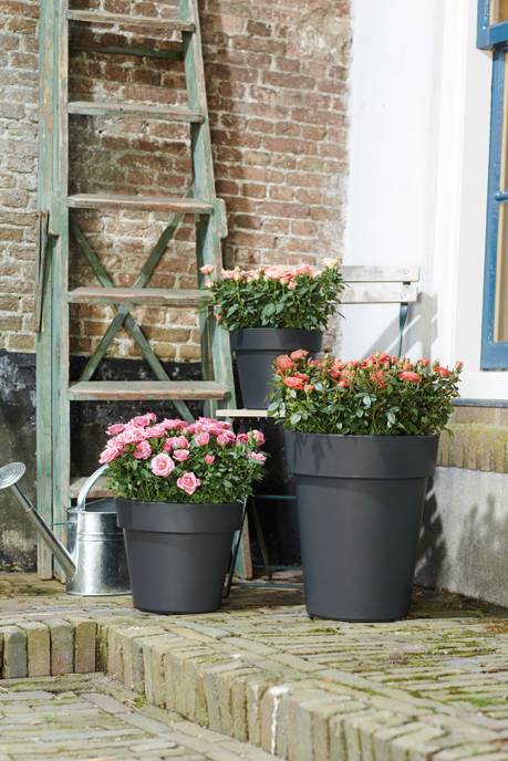 green basics top planter 23cm living noir